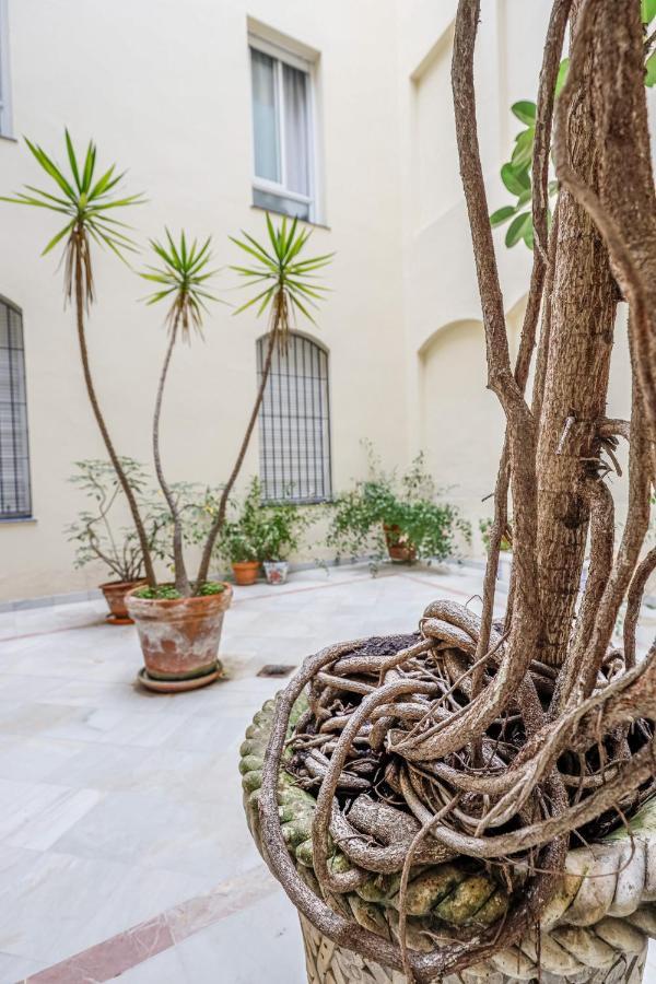 Chic&luminoso-wifiac/elegant In Salvador 2 Br Appartement *